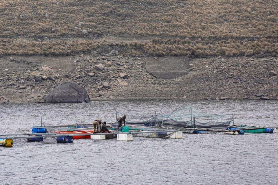En el 214° aniversario de Cochabamba, el Gobierno entrega equipos para producción de trucha en Sacaba con inversión de Bs 800.000