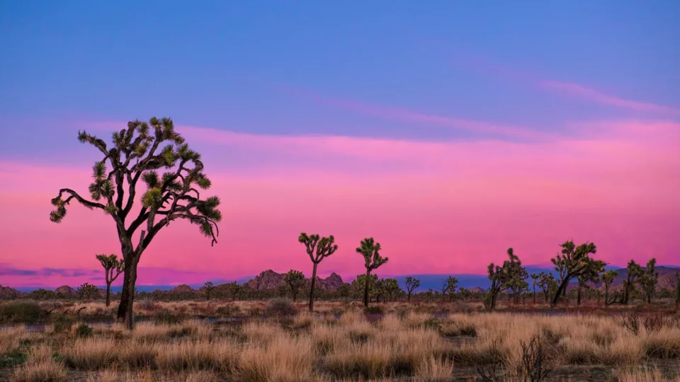 Cómo se transforma el cielo con la llegada de la primavera: 4 señales de este cambio.