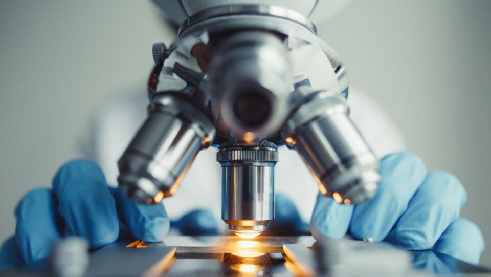 Científicos australianos descubren nueva célula que podría revolucionar la reparación de tejidos