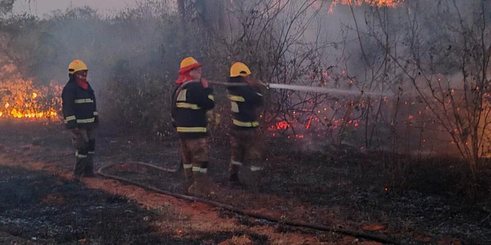 Fiscal General propone aumentar sanciones penales por incendios ante la emergencia nacional por quemas forestales