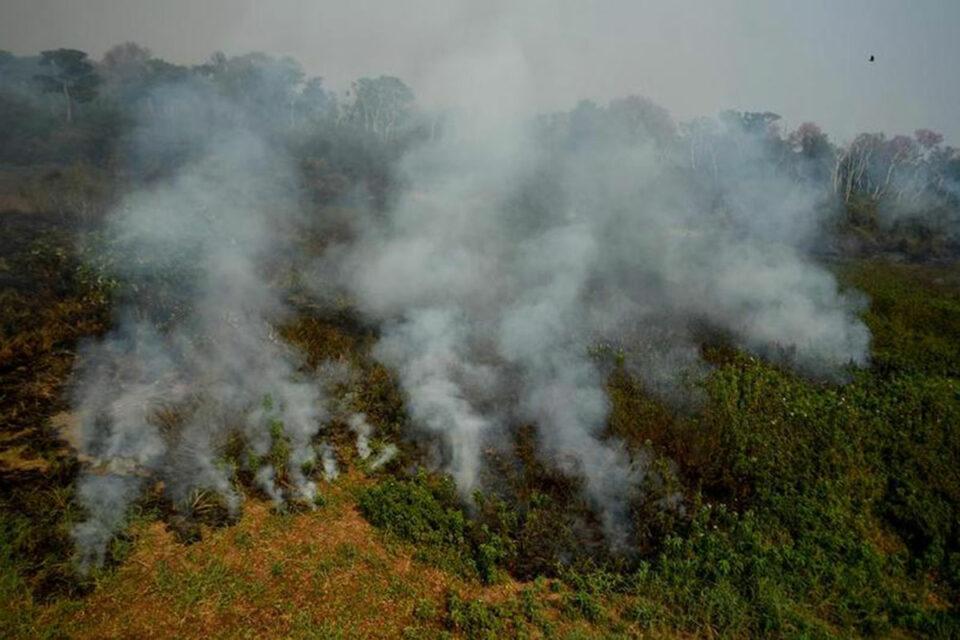 Incendios en Brasil afectan 11,39 millones de hectáreas este 2024