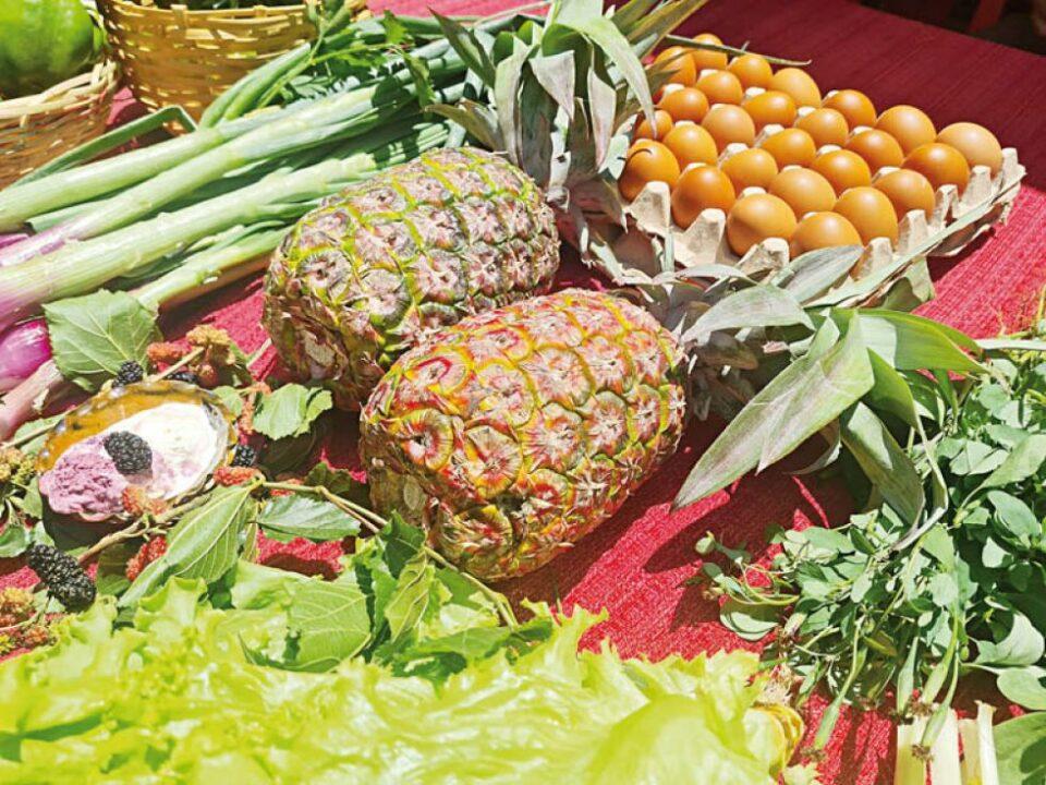 ‘Feria del Campo a la Olla’ retorna mañana a Sucre