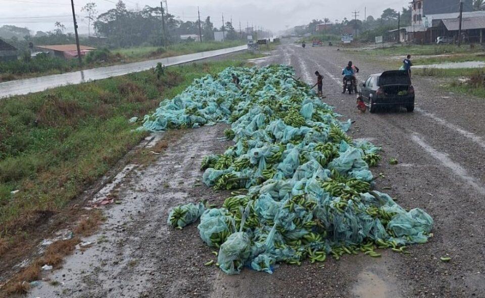 Productores tiran su cosecha de bananas en la carretera en protesta por el bloqueo en Cochabamba