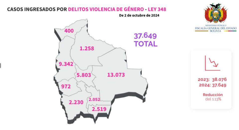 Santa Cruz y La Paz reportan más casos de violencia a nivel nacional