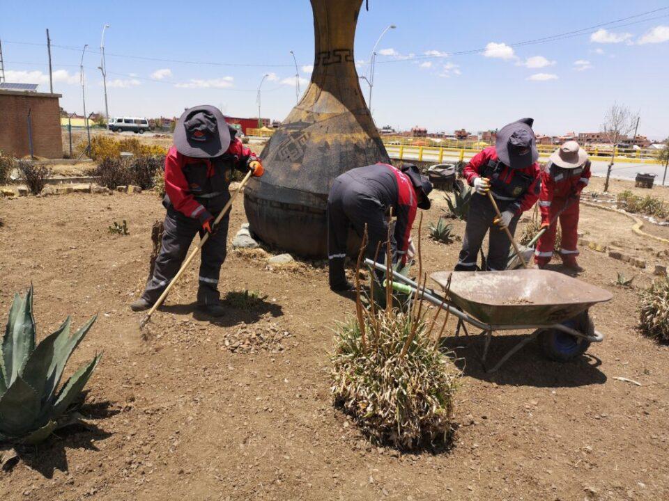 Obreros de la Alcaldía de El Alto remozan la rotonda Santa Fe y plantan árboles para reverdecer el Distrito 4