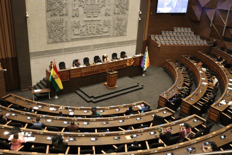 Cámara de Diputados discutirá créditos por más de $us 400 millones en sesión ordinaria