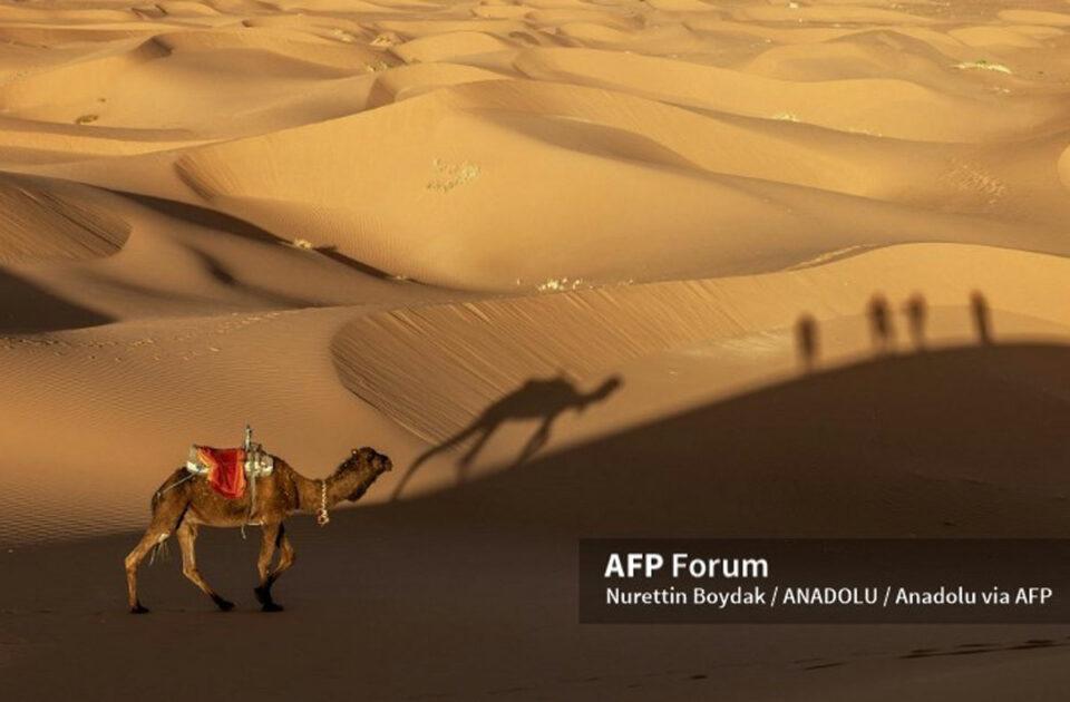 Francia publica mapa que reconoce el Sáhara Occidental como parte de Marruecos