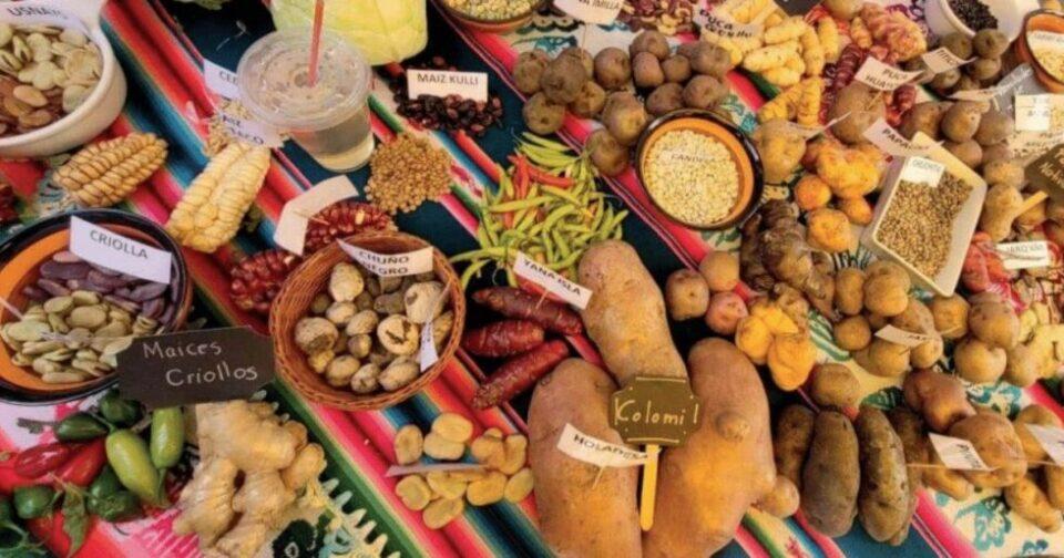 Bolivia lanza programa para revalorizar cocinas indígenas con apoyo del restaurante Gustu