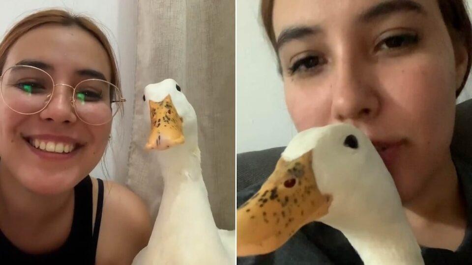 Le pidió a su pato que sonriera para la cámara y el video cautivó a millones en TikTok