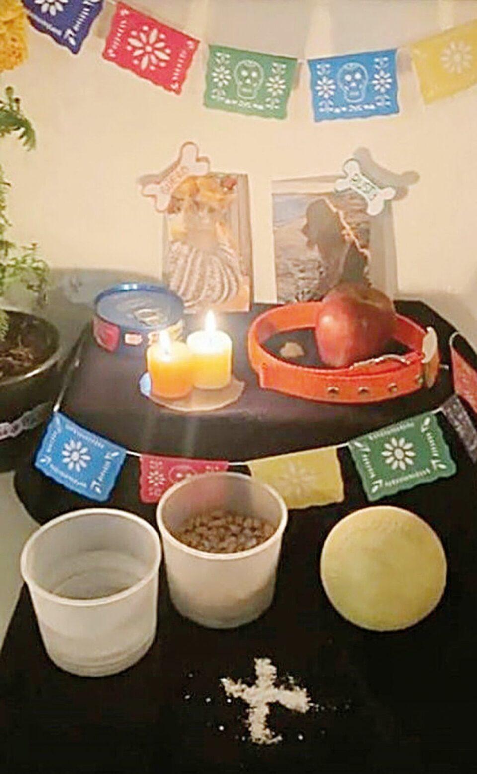 Celebran el Día de las Mascotas Difuntas