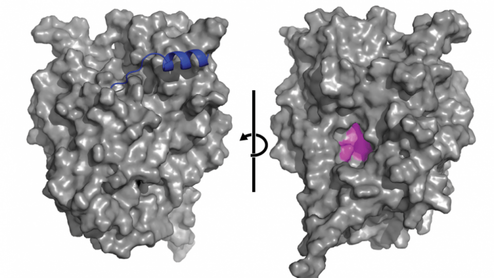 IA: egresada de FCM es parte de un equipo que hace ciencia con la tecnología de los Nobel
