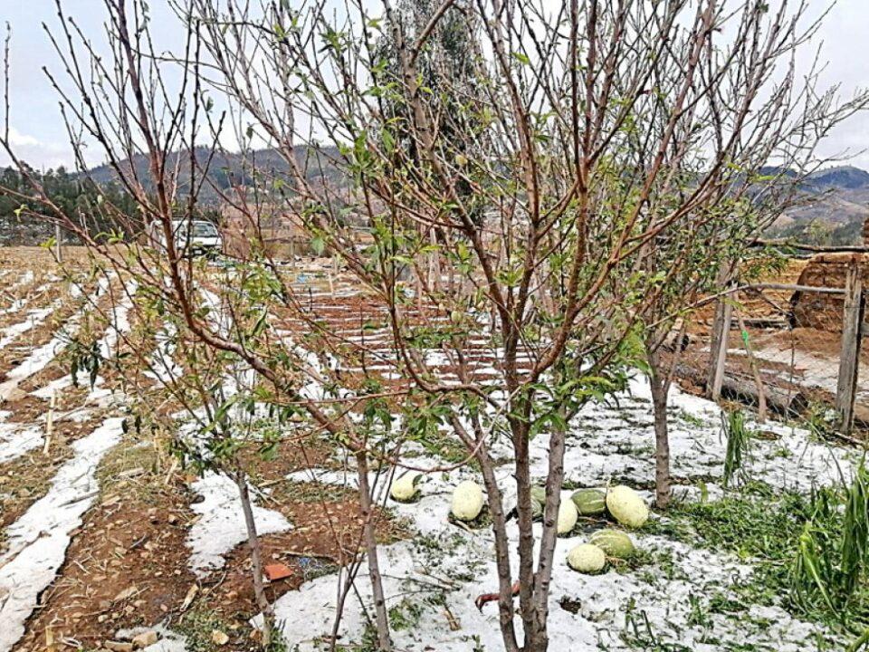 Diez municipios de Chuquisaca afectados por granizadas y riadas