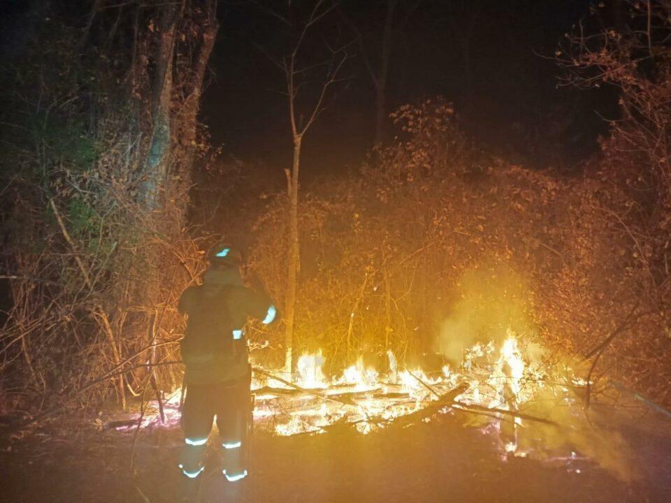 Denuncian incendios intencionados en Santa Cruz; un hombre y su pareja aprehendidos por destruir 150 hectáreas