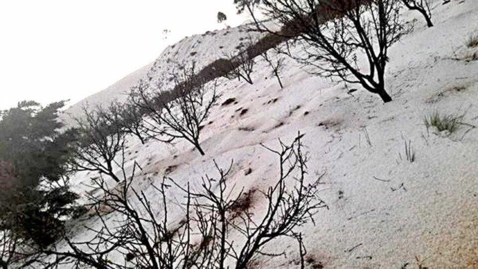 San Lucas sufre tres granizadas en tres semanas, causando graves daños a cultivos