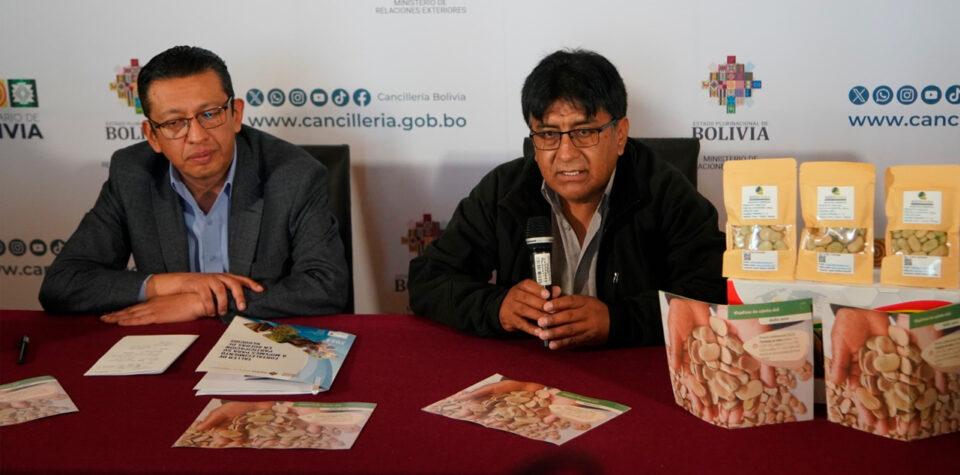 Productores de Potosí exportan 20 toneladas de haba seca a España por Bs 365.000