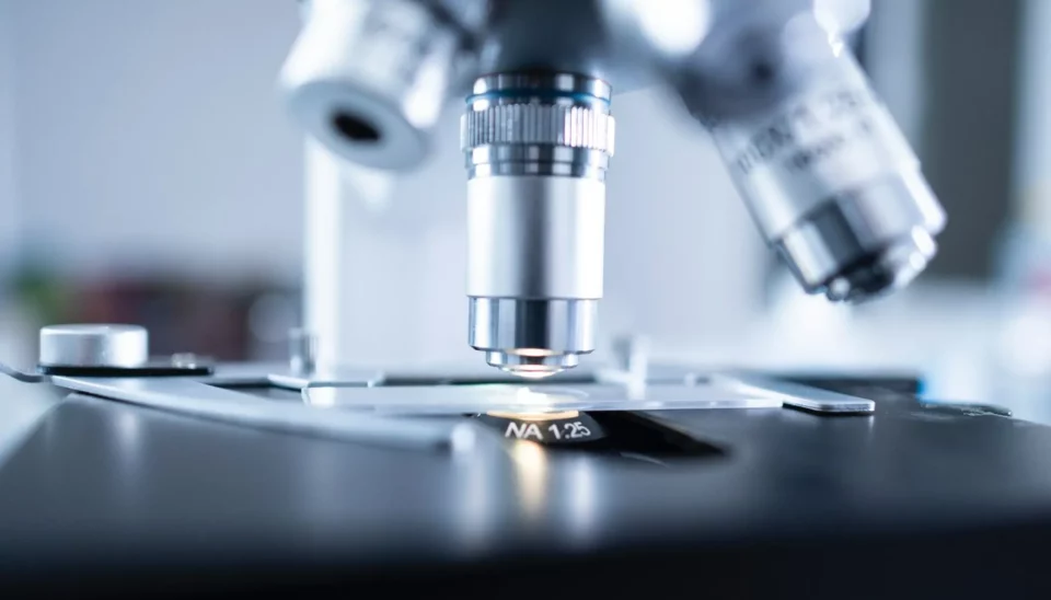 MSD Salud Animal auspicia el Segundo Congreso sobre Caligidosis en Salmonicultura Chilena