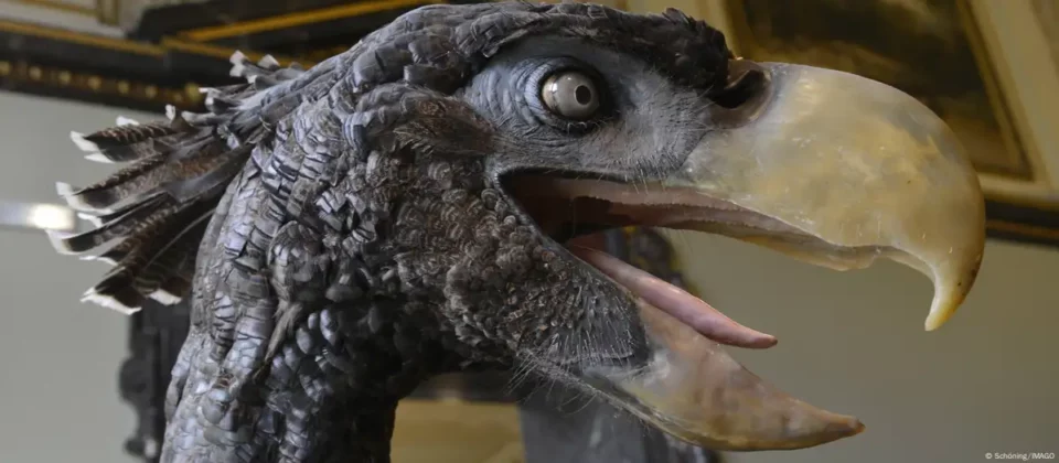 Descubren en Colombia el mayor fósil de 'ave del terror', un Phorusrhacidae extinto