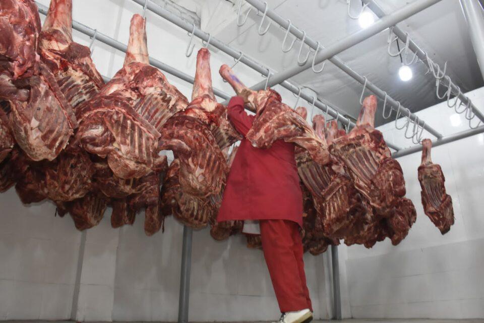 Exportaciones de carne bovina superan los 144 millones de dólares en 2024