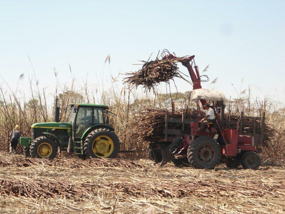Sector cañero amenaza con bloqueo en Santa Cruz por falta de diésel