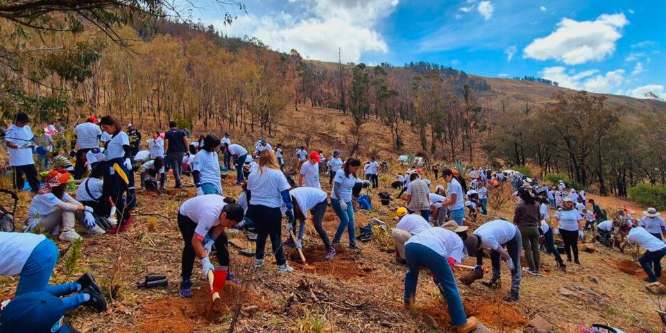 Banco Unión siembra más de 1.000 árboles en el parque Tunari de Cochabamba"