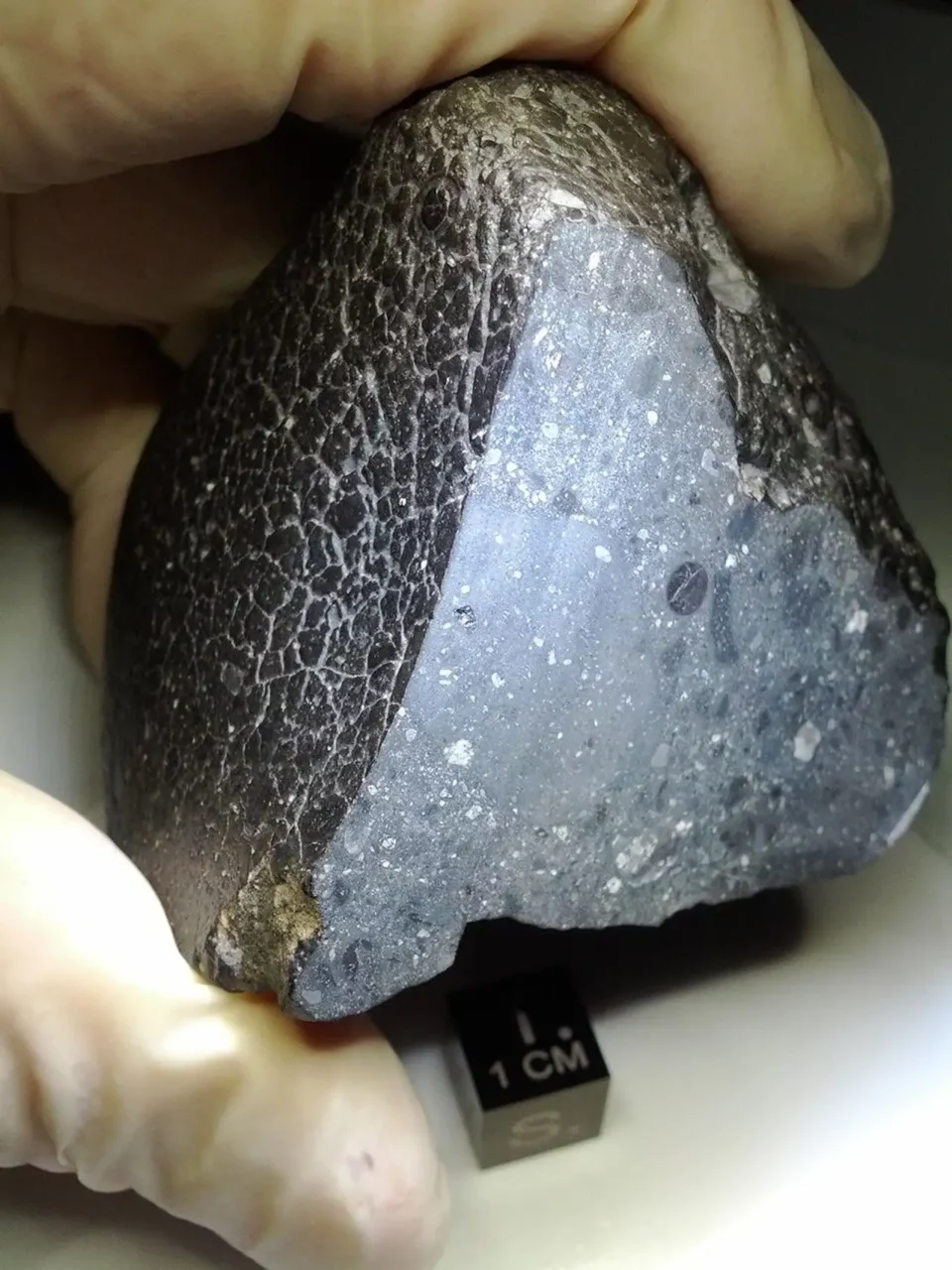 Descubren evidencia de fluidos hidrotermales en Marte a través de meteorito 'Black Beauty