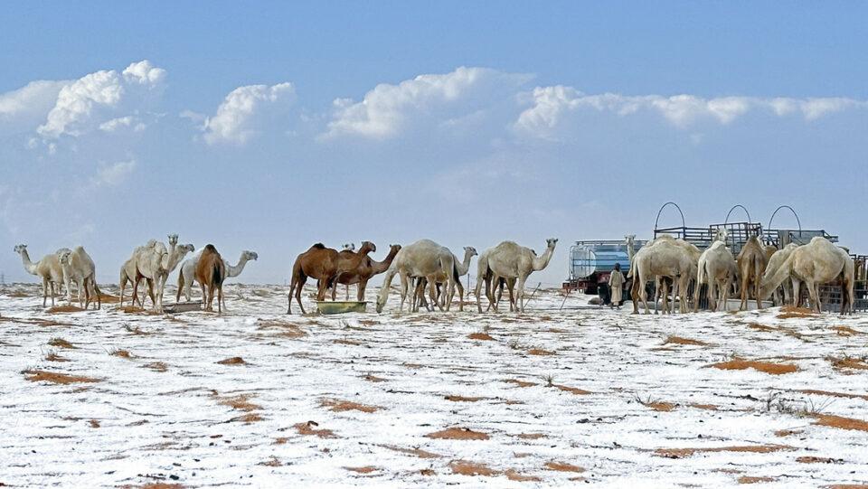 Histórica nevada en el desierto de Al Nafud, en Arabia Saudita