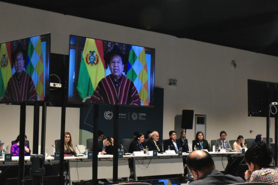 COP29: Bolivia propone un Mecanismo Conjunto Regional Amazónico para proteger los bosques y apoyar a los pueblos indígenas