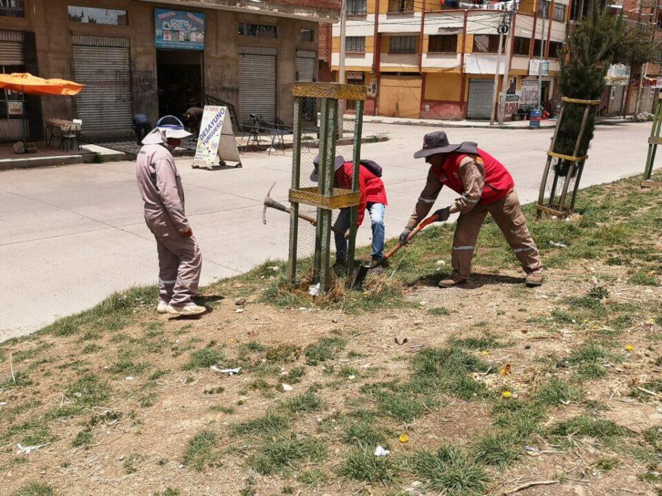 Reforestación de plazas y avenidas en El Alto para una ciudad más verde