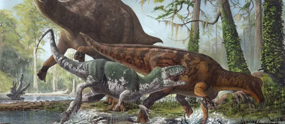 Descubren fósiles de Labocania aguillonae, pariente del T. rex, en Coahuila