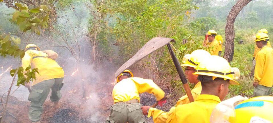 Santa Cruz reporta el fin de los incendios forestales tras semanas de devastación