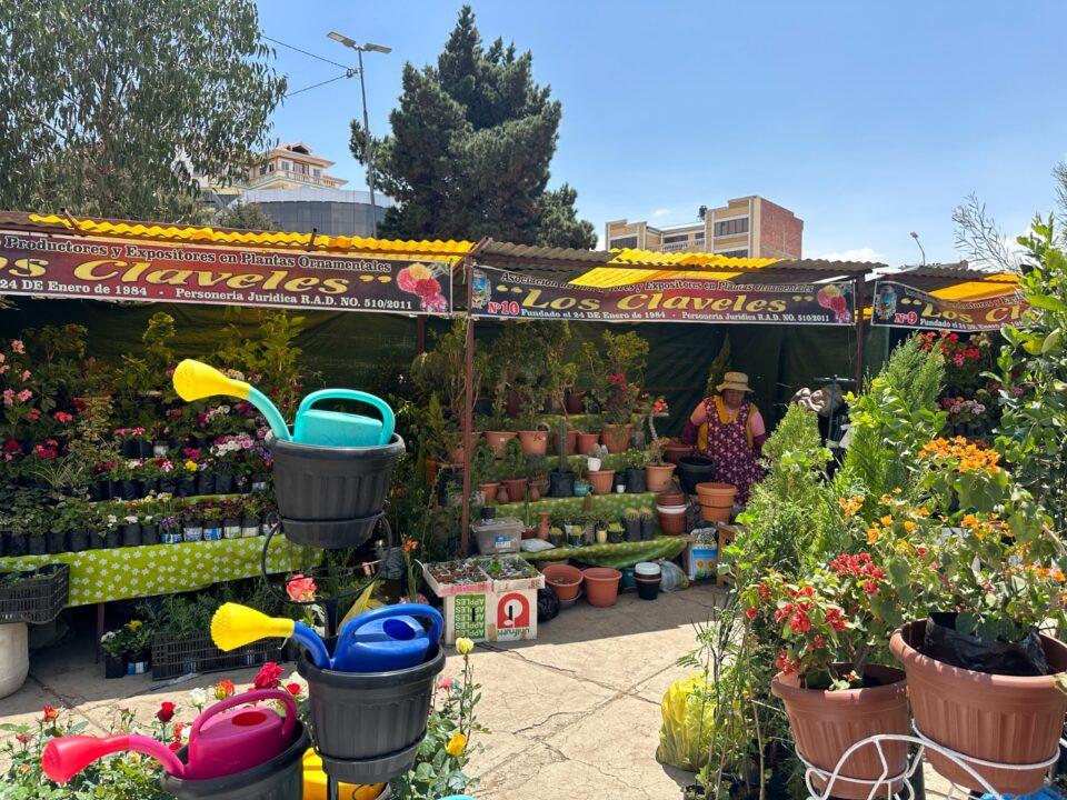 Plaza Illimani de El Alto embellecida con 430 plantas ornamentales
