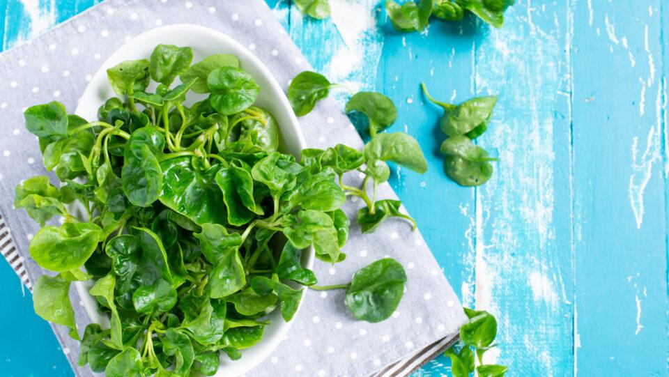 CDC nombra al berro como la verdura más saludable del mundo