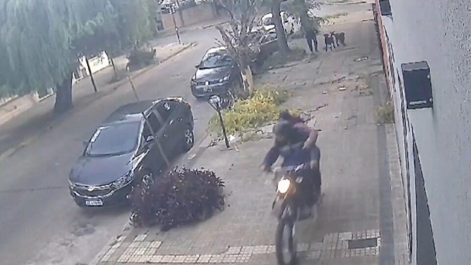 Dos perros frustran el robo del auto de su dueño