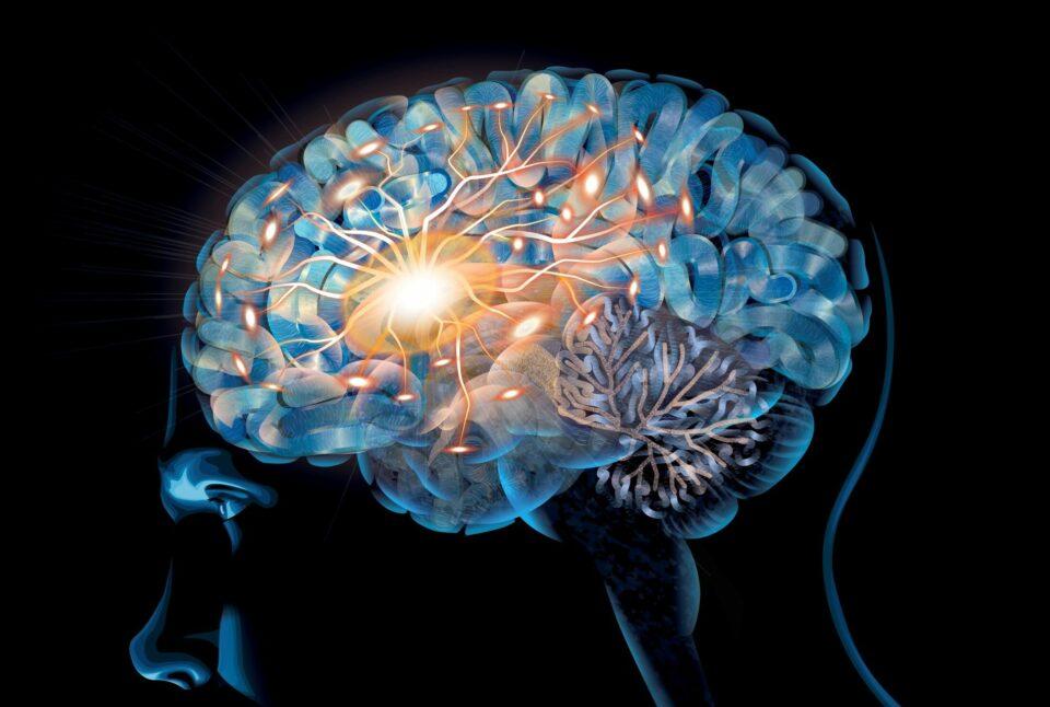 Investigadores descubren que el cerebro piensa más lento de lo esperado