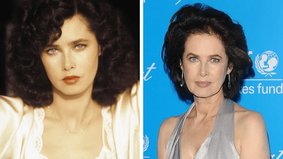 Fallece por intoxicación la exmodelo Dayle Haddon
