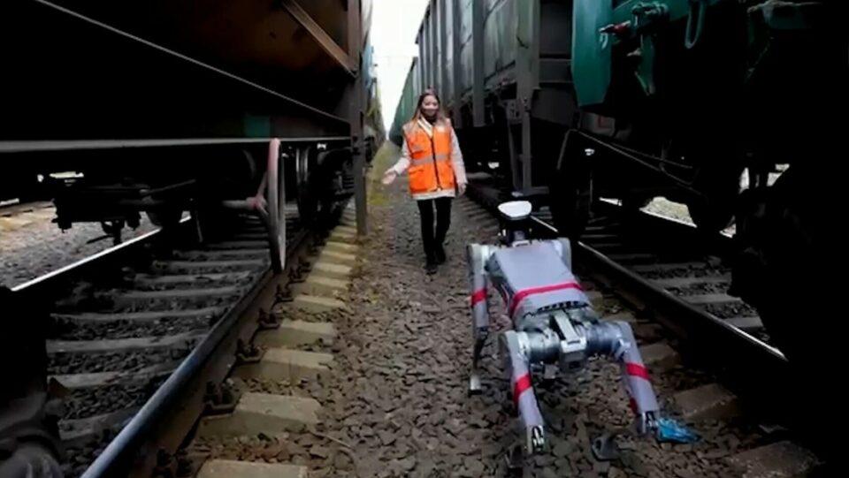 Perros robot, al servicio de los ferrocarriles rusos