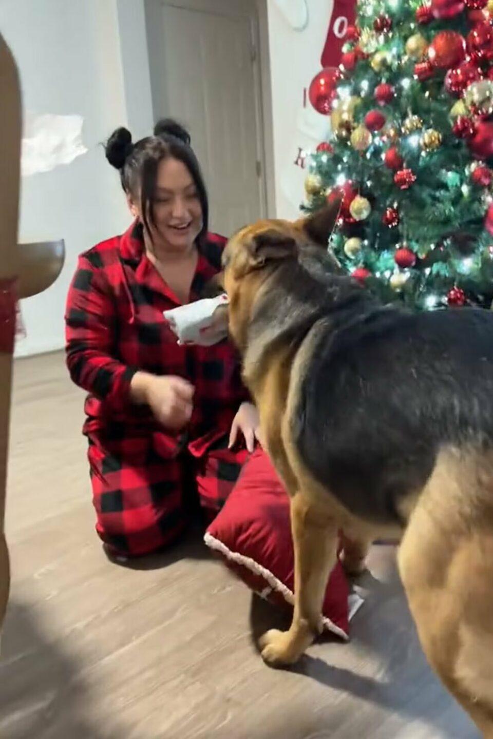 La sorprendente reacción de un perro al abrir un regalo que se hizo viral