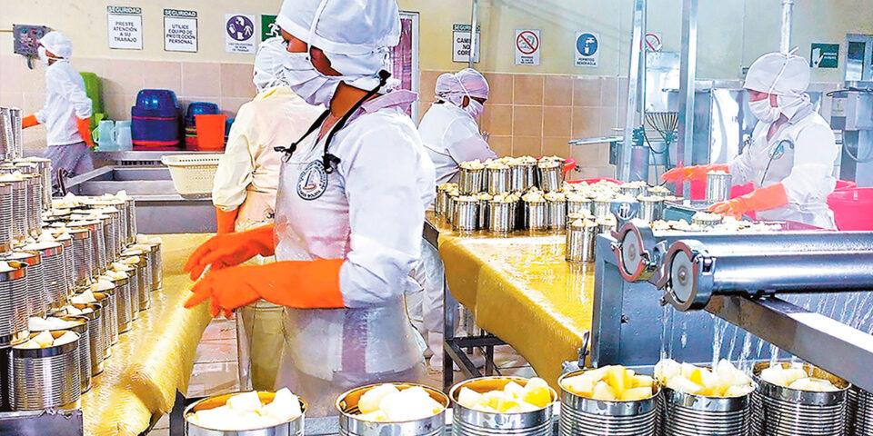 SIBOLIVIA impulsa la producción con Bs 1.763 millones en créditos