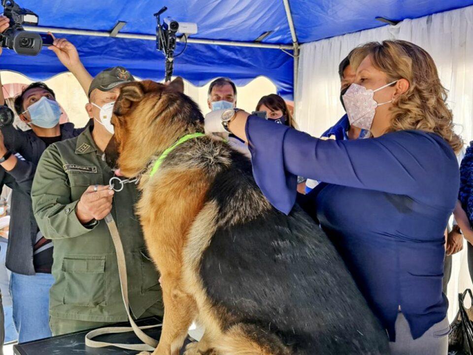 Sucre tiene 25 casos de rabia canina, el registro más alto del país