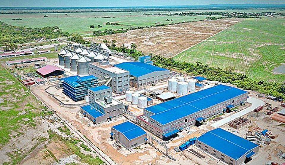 Firma estatal producirá aceite desde febrero