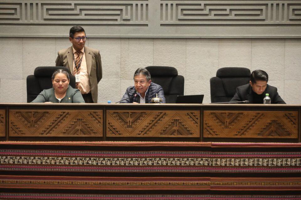 Choquehuanca posterga formación de comisión para el receso legislativo por falta de listas