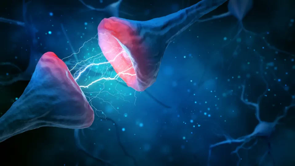 Estudio revela que el cerebro humano funciona a 10 bits por segundo: ¿es poco?