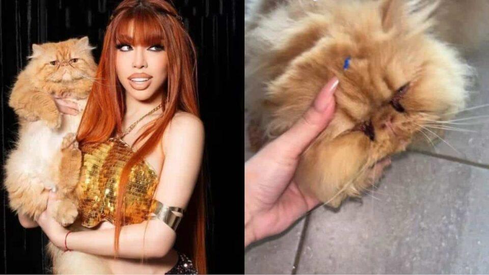 Yeri Mua enfrenta acusaciones de maltrato animal