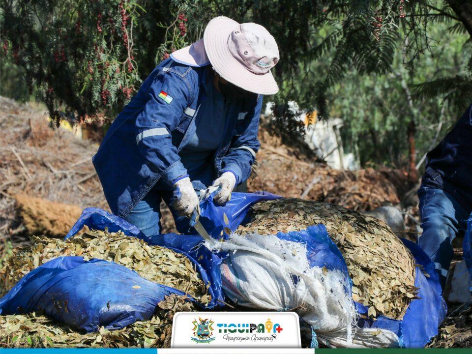 Fomentan la producción de compostaje de coca para los agricultores de Tiquipaya