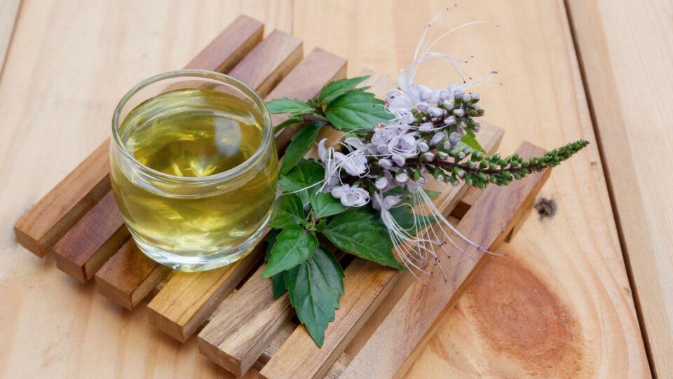 Un té elaborado con una hierba poco conocida podría ayudar con problemas renales y reducir la tensión arterial