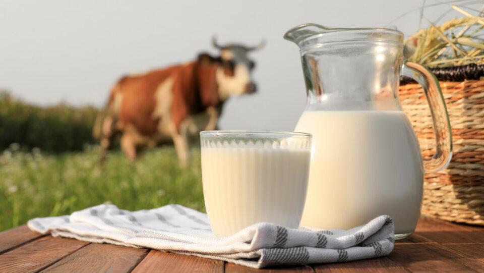 ¿Qué tipo de leche es la más saludable?