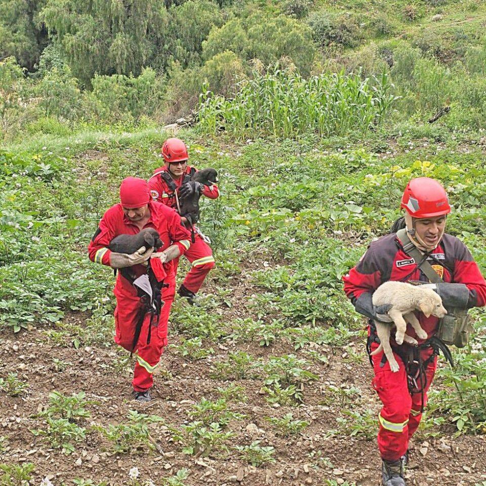 Sucre: Bomberos logran rescatar tres cachorros que se encontraban atrapados cerca aun río