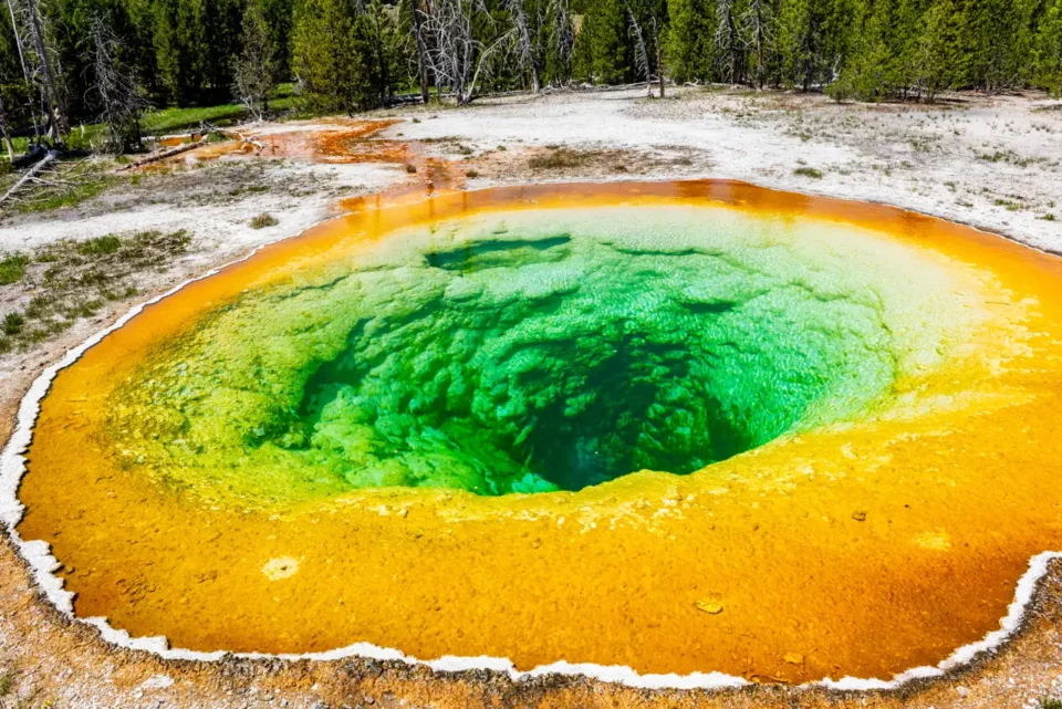 Nuevo hallazgo en Yellowstone podría indicar riesgo de erupción global, advierten expertos