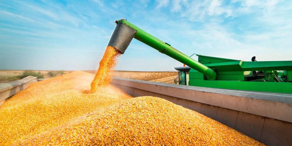 Seguridad alimentaria: Emapa pretende acopiar 295.000 toneladas de maíz, trigo y arroz