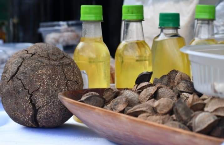 El BDP fortalece el potencial productivo de la Amazonía con Bs 164,1 millones en créditos